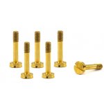 (image for) Scaleauto SC-5139G Large Head Brass Screws for Body Suspension M2.2. x 11mm (x6)