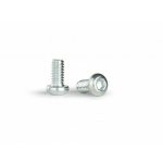 (image for) Slot.it SICH41B Motor Mount Fixing Screws w/Washers, M2x4mm x10